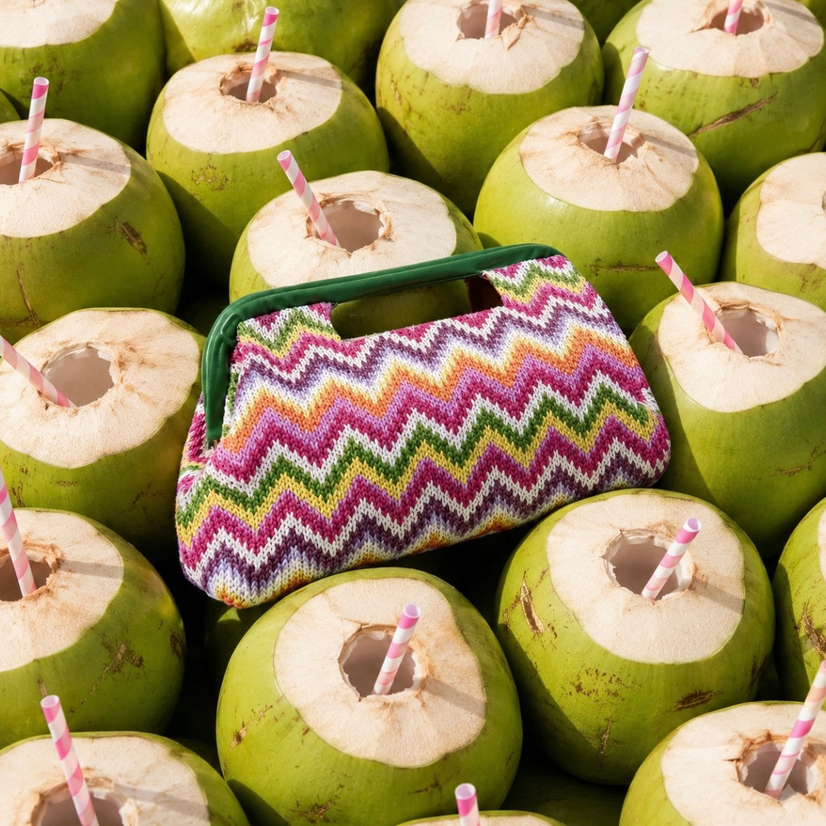 Coconut bag
